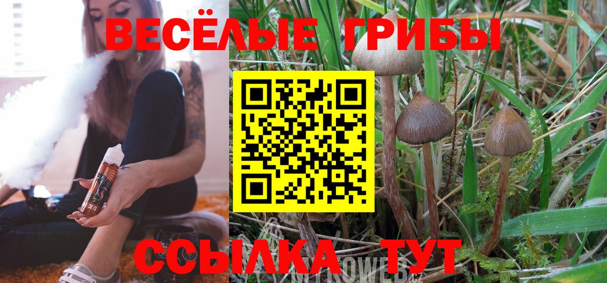 Псилоцибиновые грибы Cubensis  купить   Кушва  Вход с VPN 