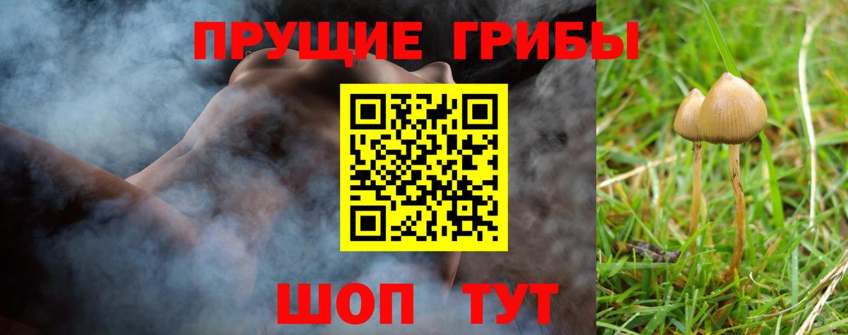 Псилоцибиновые грибы ЛСД Кушва