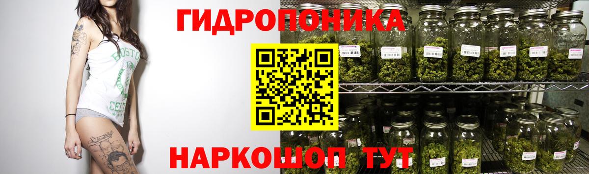 Марихуана Bruce Banner Кушва